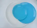 10-inch-plastic-plate-500x500 (1).webp