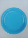 10 Inch Plastic Plate