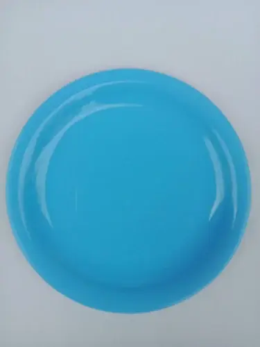 10 Inch Plastic Plate